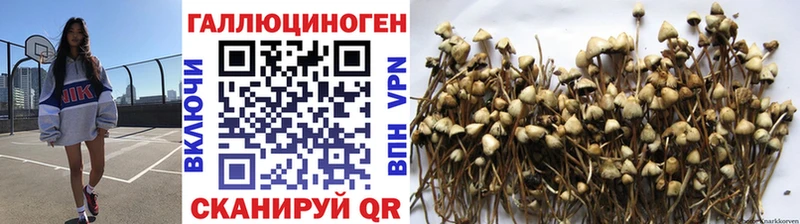 mega как зайти  Вытегра  Галлюциногенные грибы Magic Shrooms 